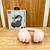 FONE DE OUVIDO SEM FIO, HEADSET, ( BT, RÁDIO FM, CARD SD, E AUX ). ( INOVA )
