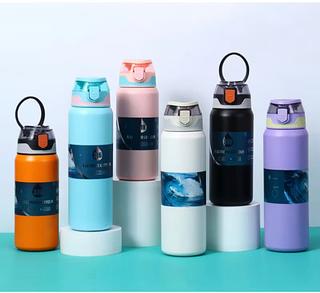 Garrafa Temica Aco inox 800ML